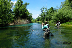 Urko Fishing Adventures FlyFishing Slovenia River Ljubljanica